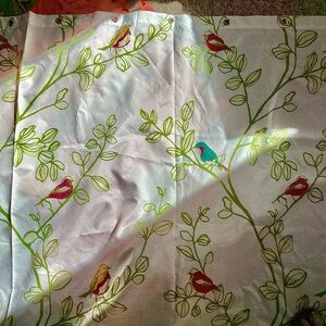 🦜 Botanical Birds Turquoise Shower Hanging  Boho BACKDROP
